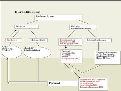 Referat Bild 7